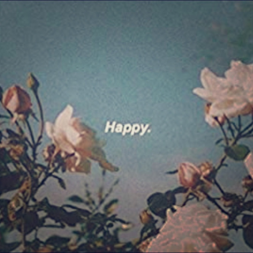 Meet your Posher, Clara